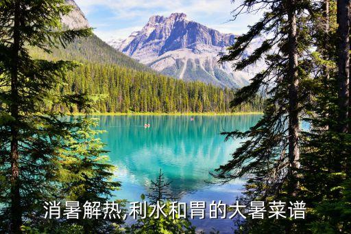 苦瓜皮蛋湯的家常做法,苦瓜番茄湯的做法...
